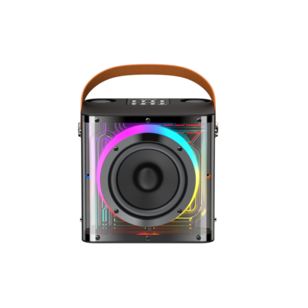 Mini Karaoke Machine with 2 Wireless Microphones