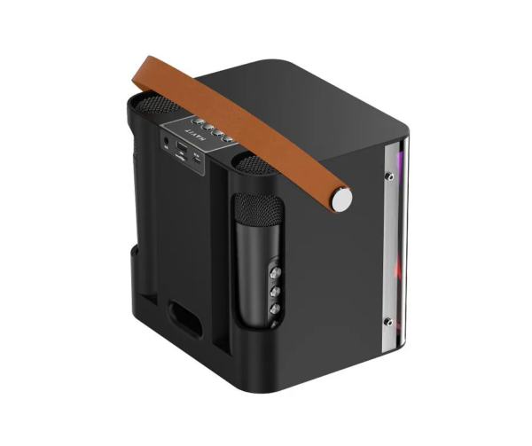 Mini Karaoke Machine with 2 Wireless Microphones