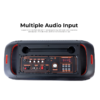 RGB Portable Bluetooth Speaker with 2 wireless mics