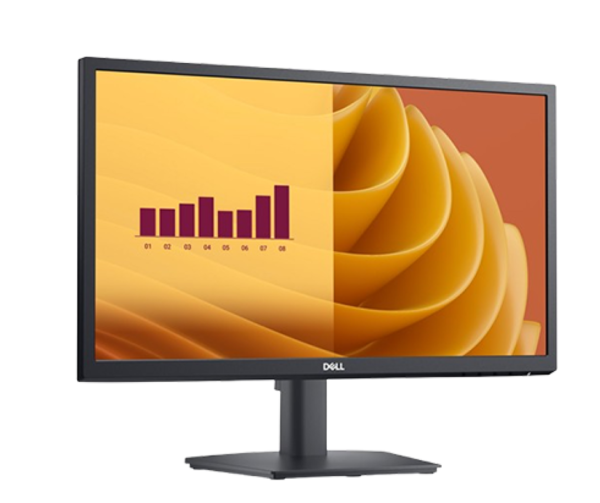 Dell Monitor 22"