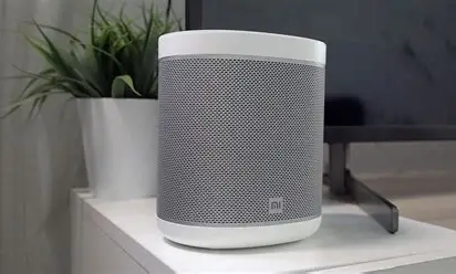 Mi Smart Speaker