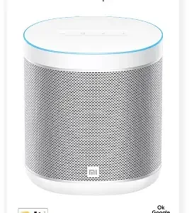 Mi Smart Speaker